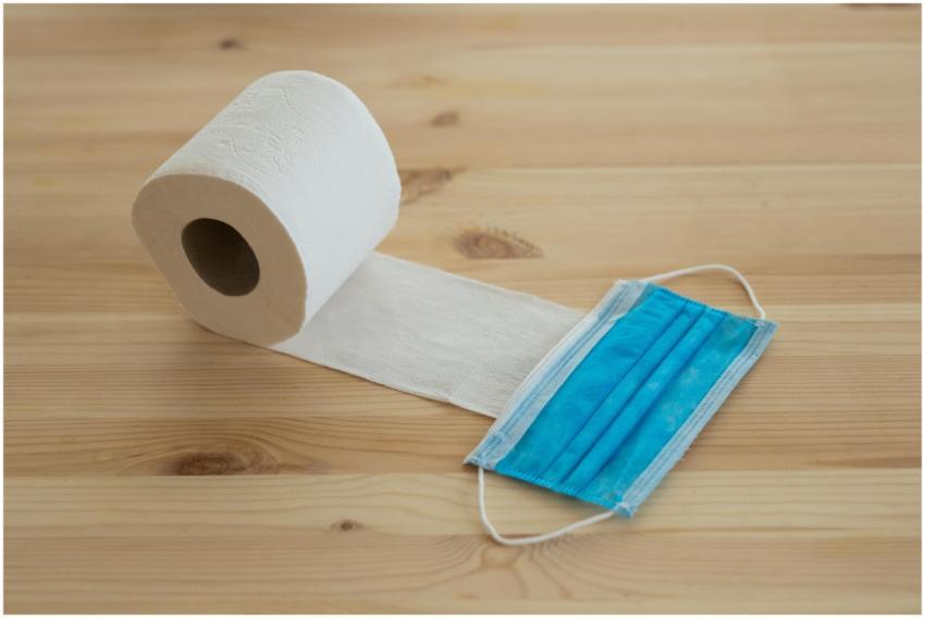 A rolled toilet paper next to a face mask on a woo