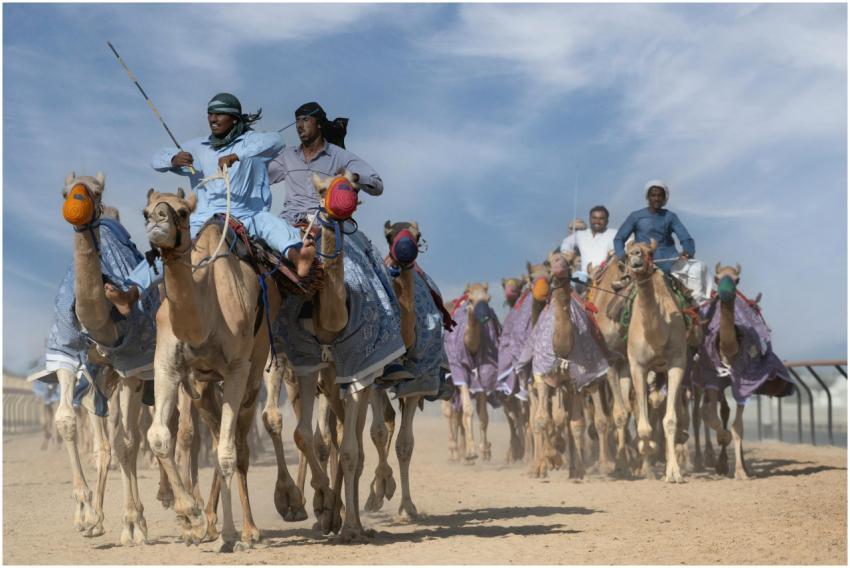 Exciting camel race with riders in traditional att