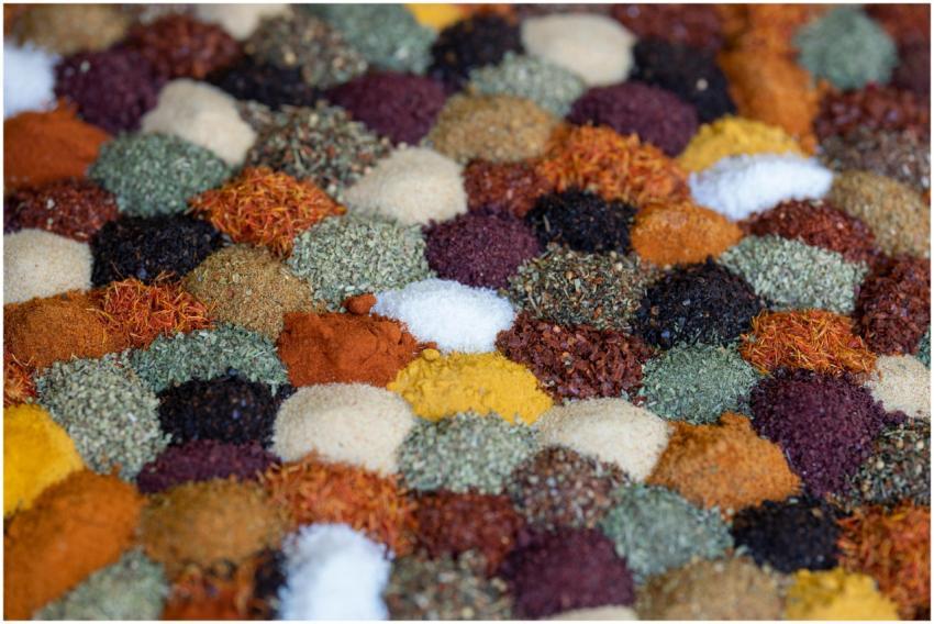 A vibrant close-up of diverse spices neatly arrang