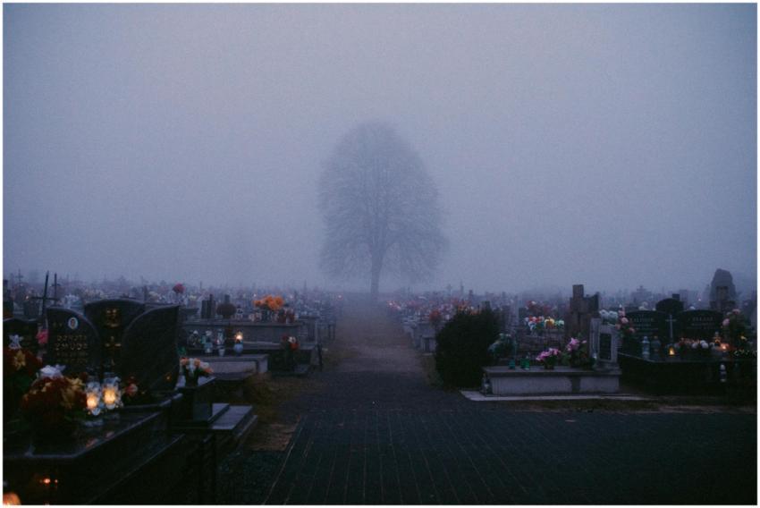 A misty graveyard scene with a solitary tree, evok