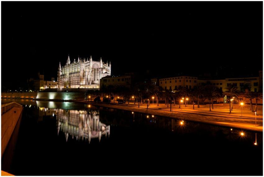 Night view of the illuminated Palma Cathedral refl