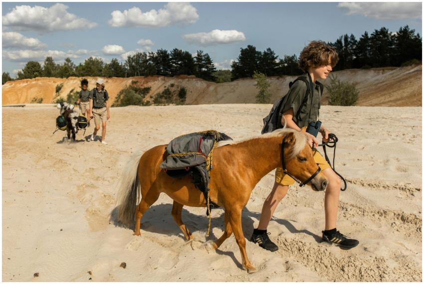 Kids enjoy a day outdoors walking ponies on sandy