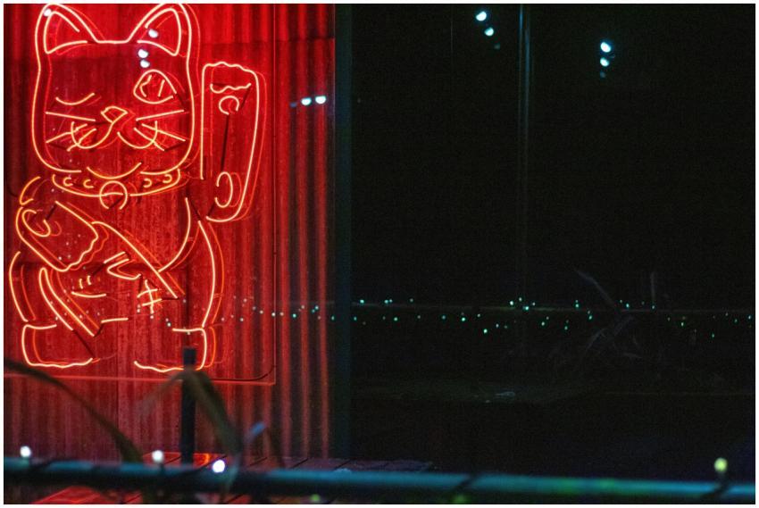 A bright neon sign of a lucky cat, glowing in red