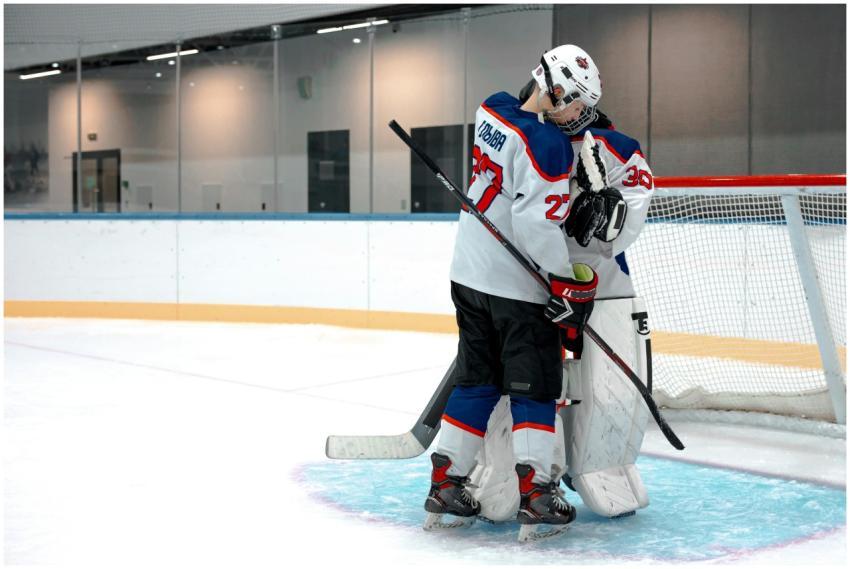Two ice hockey players hugging on the rink, symbol