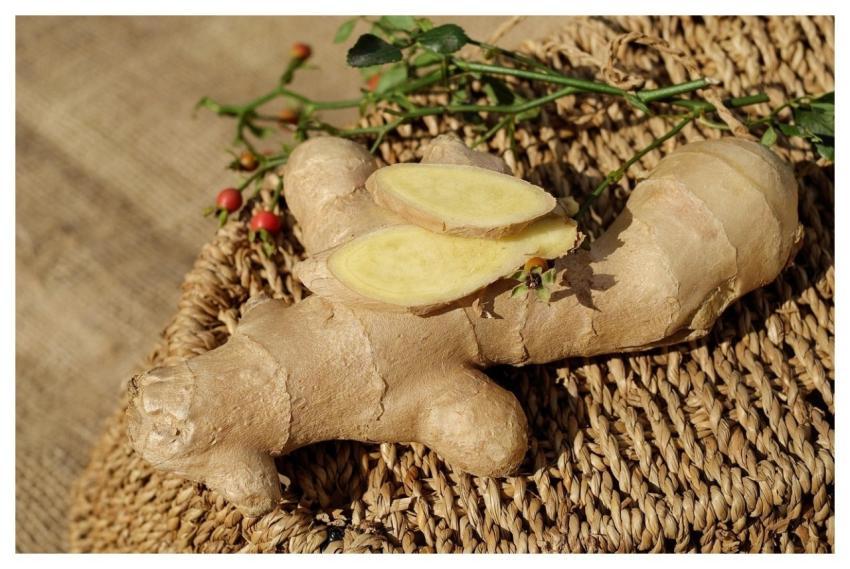 Ginger Ingber Immerwurzel Root
