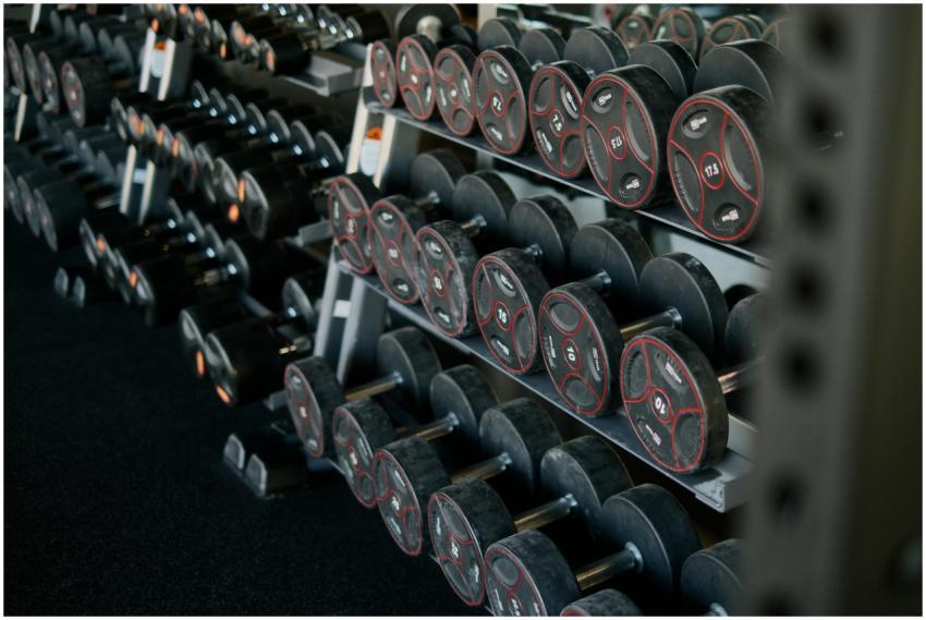 A neatly arranged set of dumbbells on a rack in a