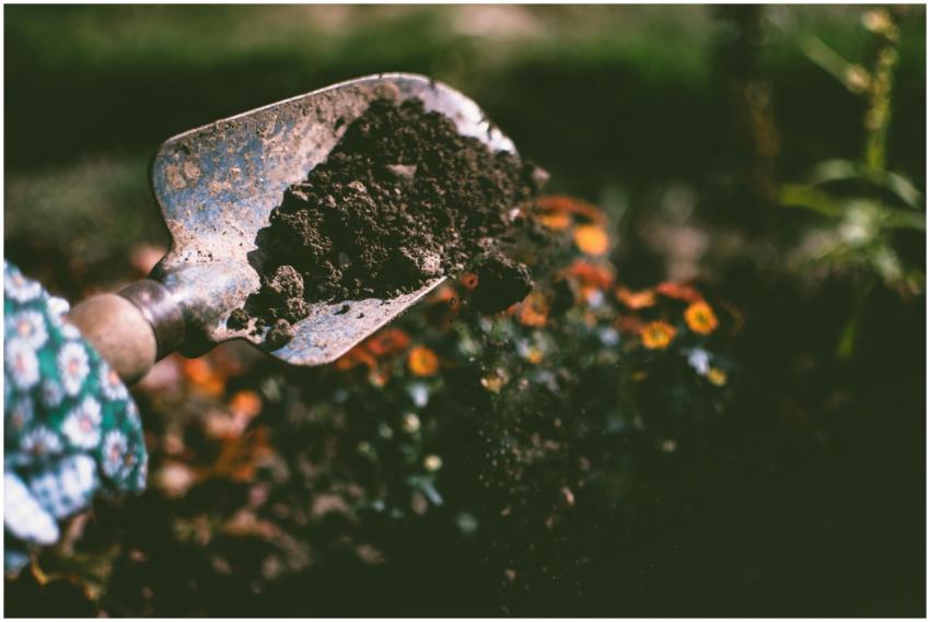 Close-up of a gardening shovel with soil, surround