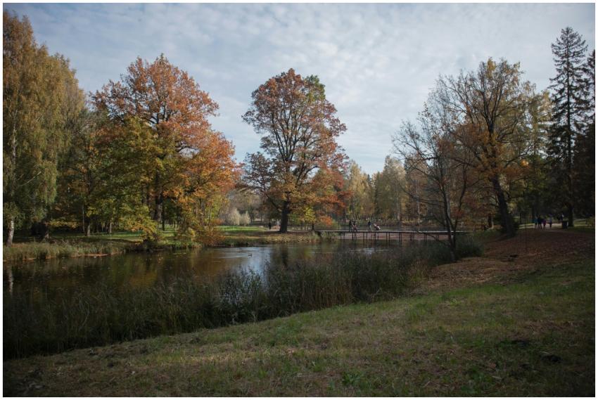 Serene fall scene featuring vibrant foliage and a