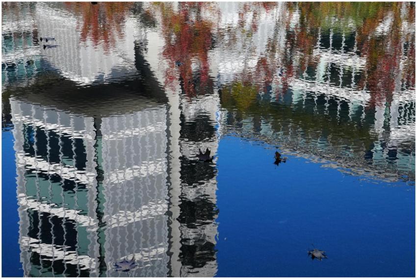 Reflection of a city building and autumn foliage o