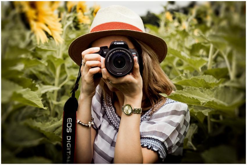 Woman with hat photographing sunflowers in a summe