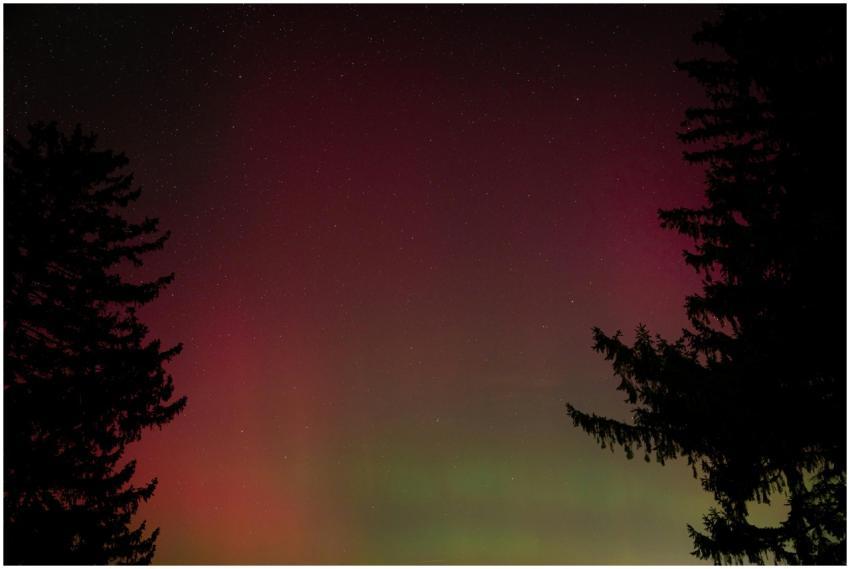 Night Sky Northern Lights