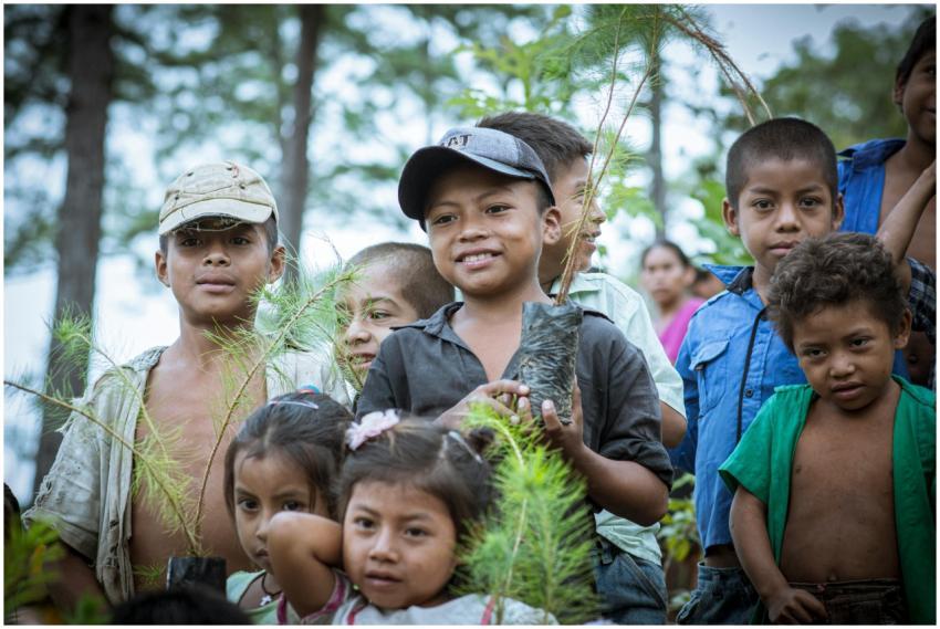 Group of smiling children in Guatemala planting tr