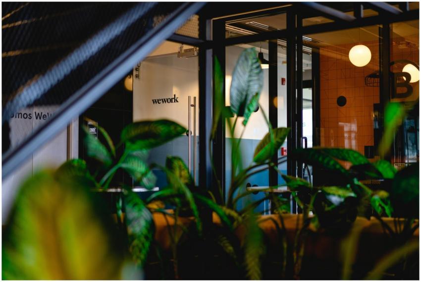 A modern co-working office space featuring abundan