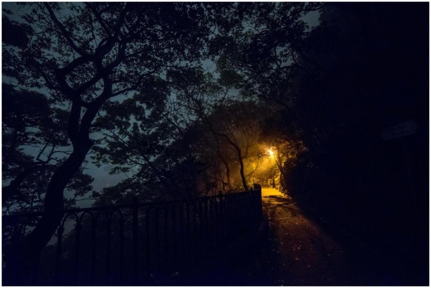A moody, misty path lit by dim streetlights on Hon