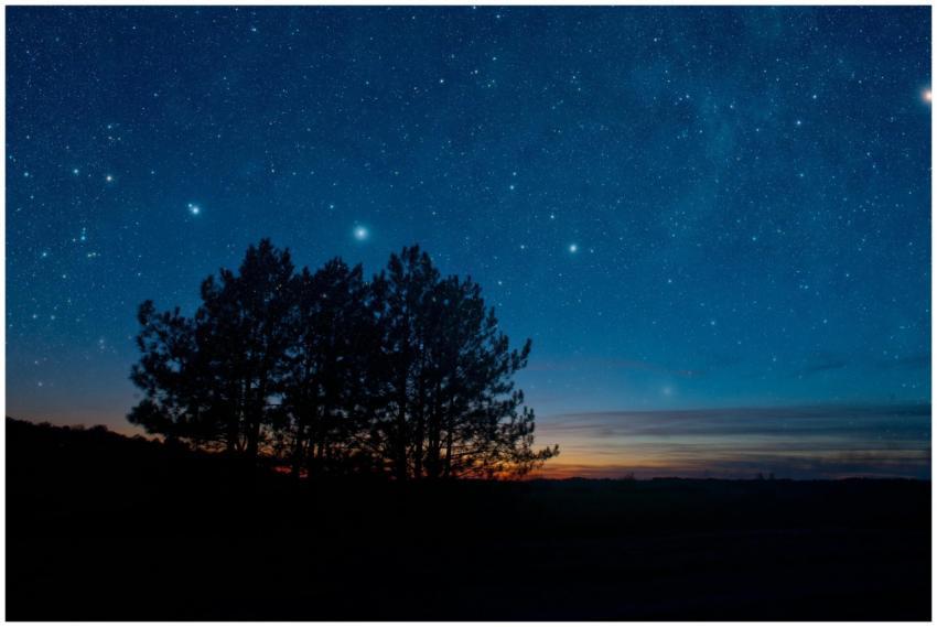 Starry night sky with tree silhouette at dusk, fea