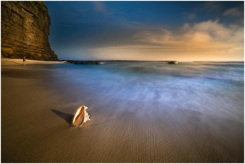 A serene beach scene with a shell on the sand and
