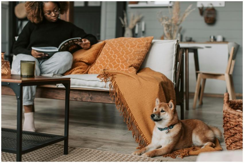 A woman enjoys a book on a cozy sofa, with a Shiba
