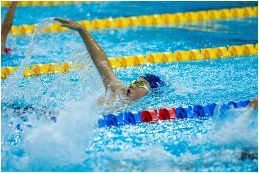 Free stock photo of competitive swimming