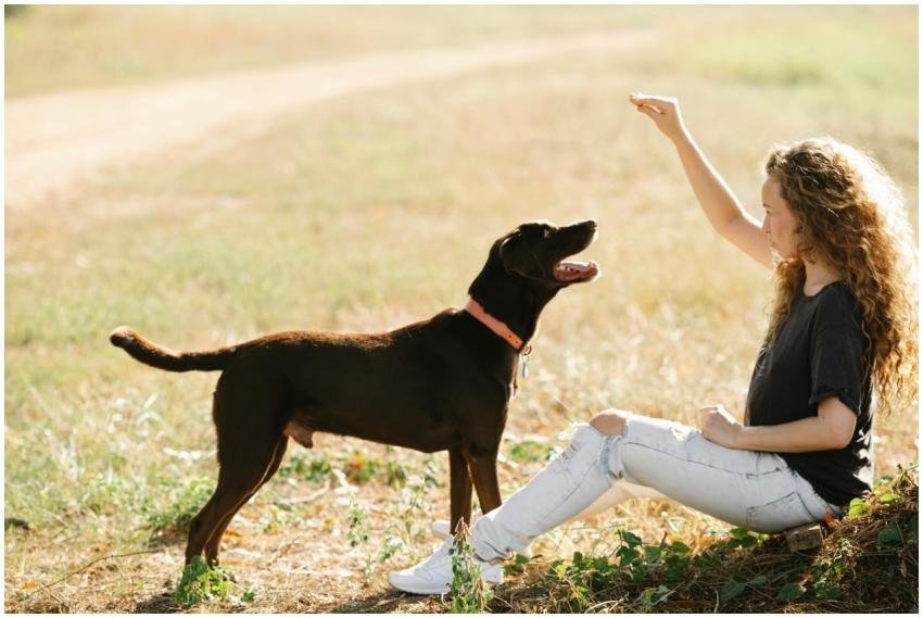 Young woman with curly hair playing with her dog o