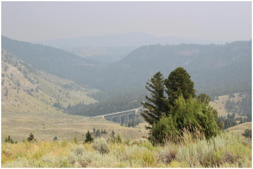 Free stock photo of yellowstone, yellowstone natio