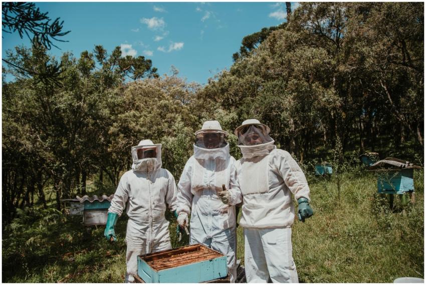 Three beekeepers in protective gear tending hives