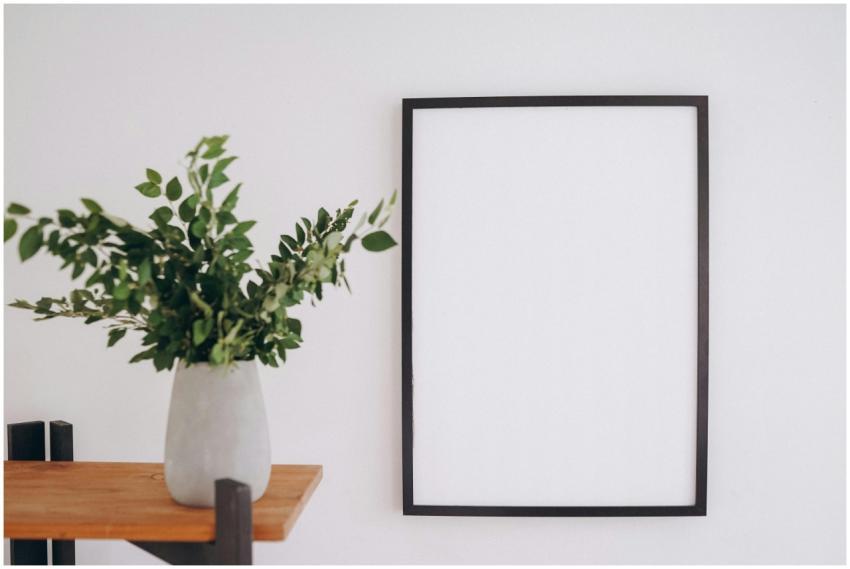 An empty black frame beside a green plant in a con