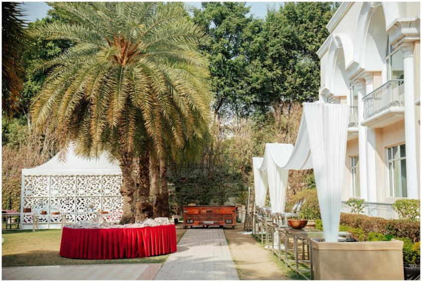 Sophisticated outdoor wedding setup with palm tree