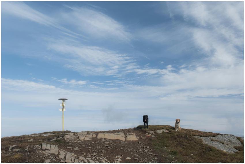 Two dogs on a rocky mountain peak under a dramatic