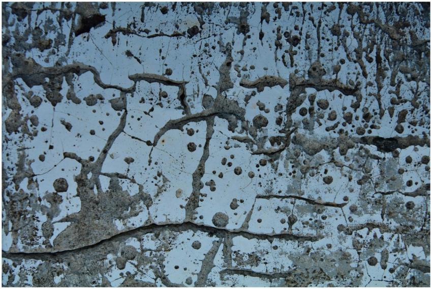 Abstract capture of a textured concrete surface wi