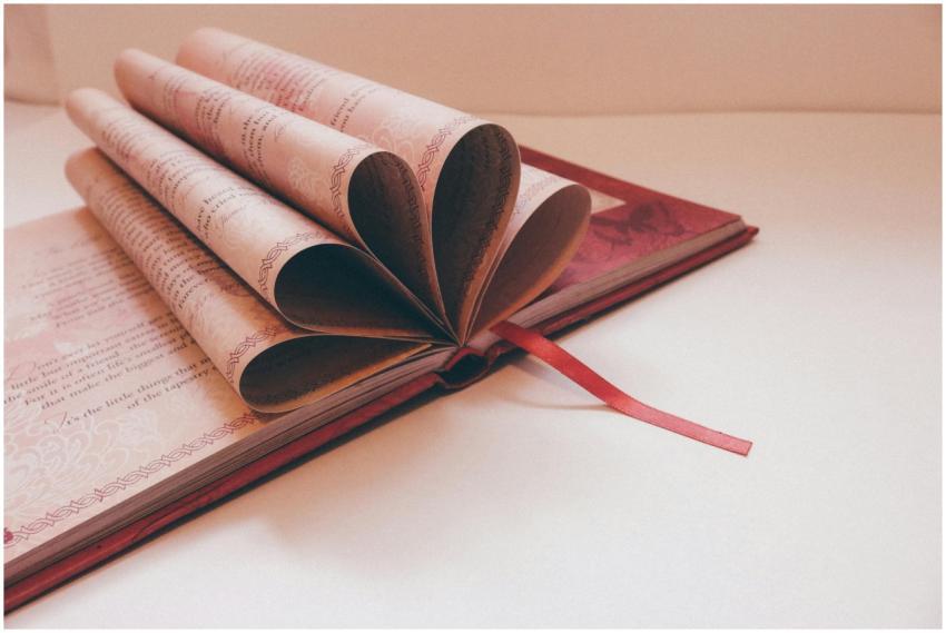 Open book with pages folded into heart shape with
