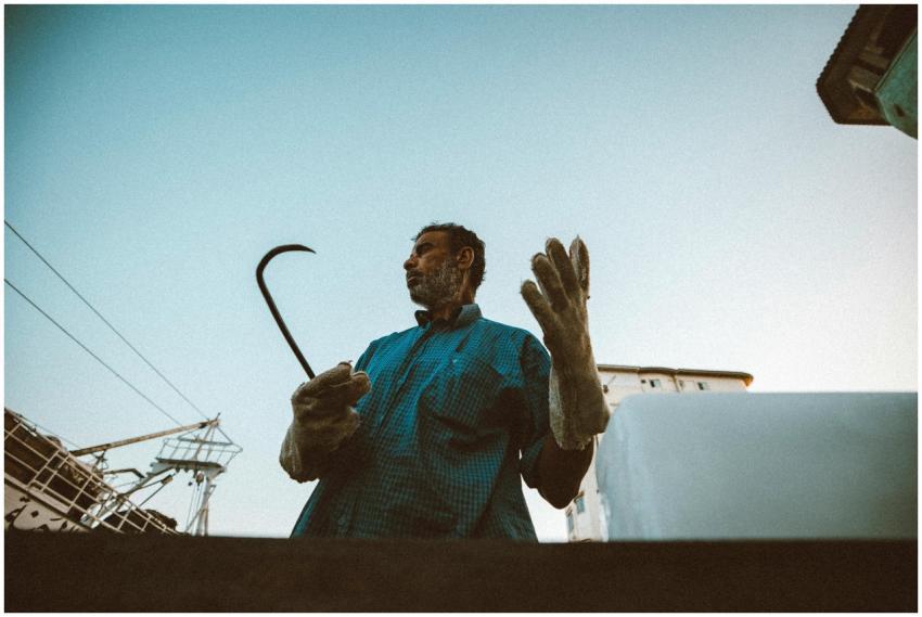 Free stock photo of award, background, beauty