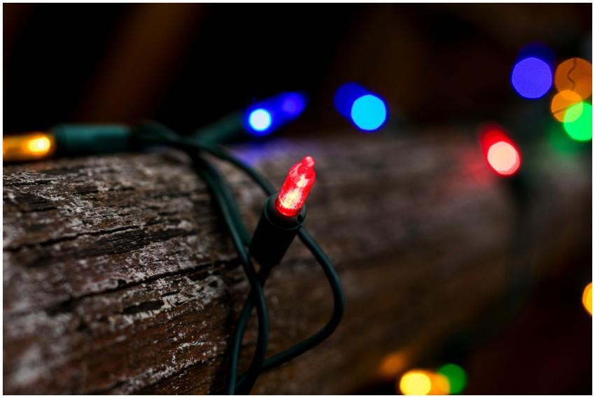 Close-up of colorful string lights wrapped around