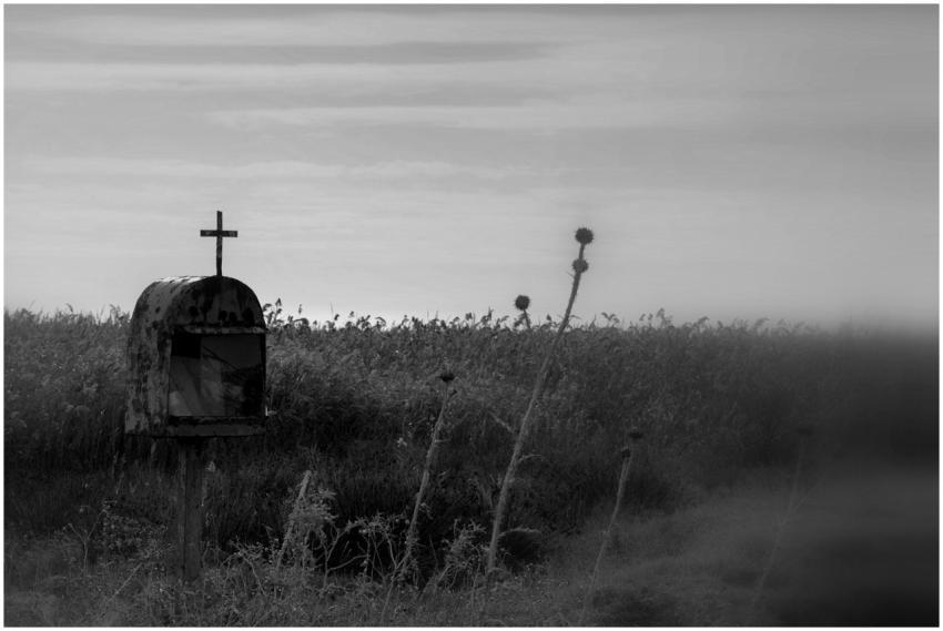 Moody Black White Landscape