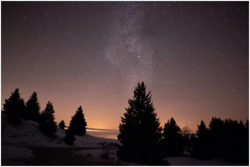 A serene starry night sky over snowy trees in Viuz
