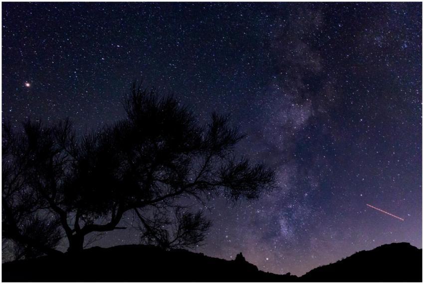 A stunning view of the starry sky above Joshua Tre