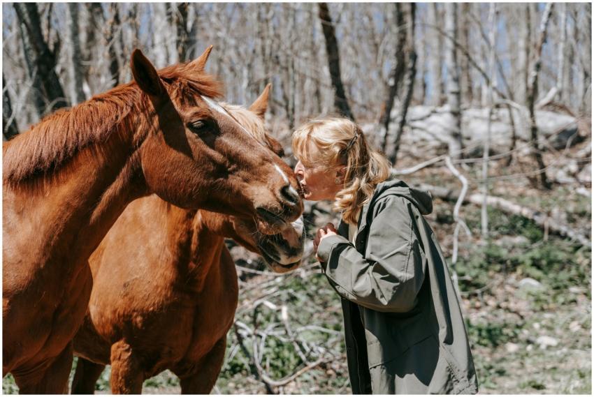 A woman affectionately kisses a horse in a serene,