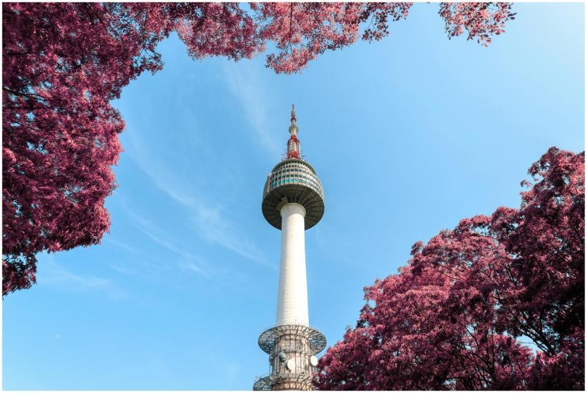 A stunning view of N Seoul Tower surrounded by pin