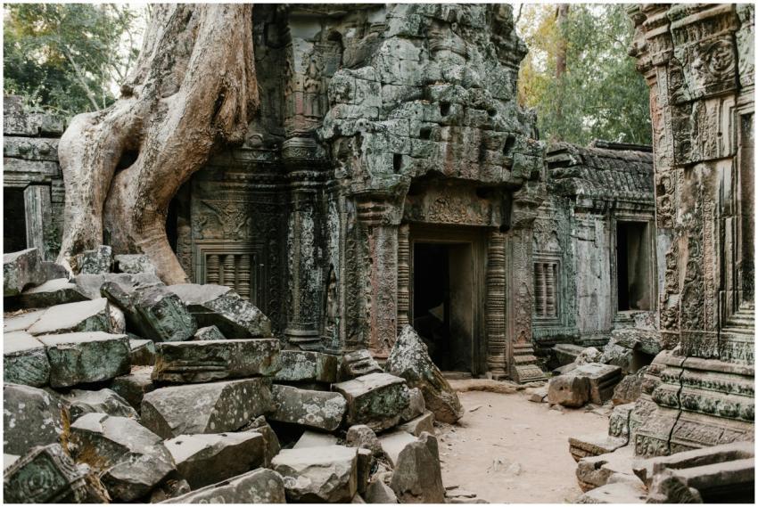 Explore the mystical ruins of Ta Prohm Temple engu