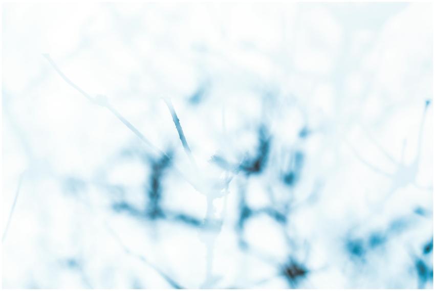 Delicate abstract photo with soft blue tones and b