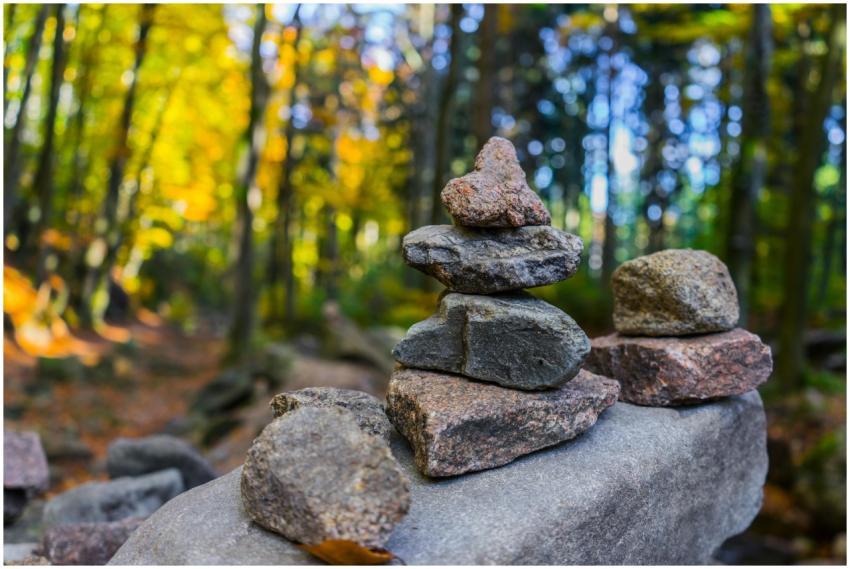 A serene forest scene with balanced stone stacks a