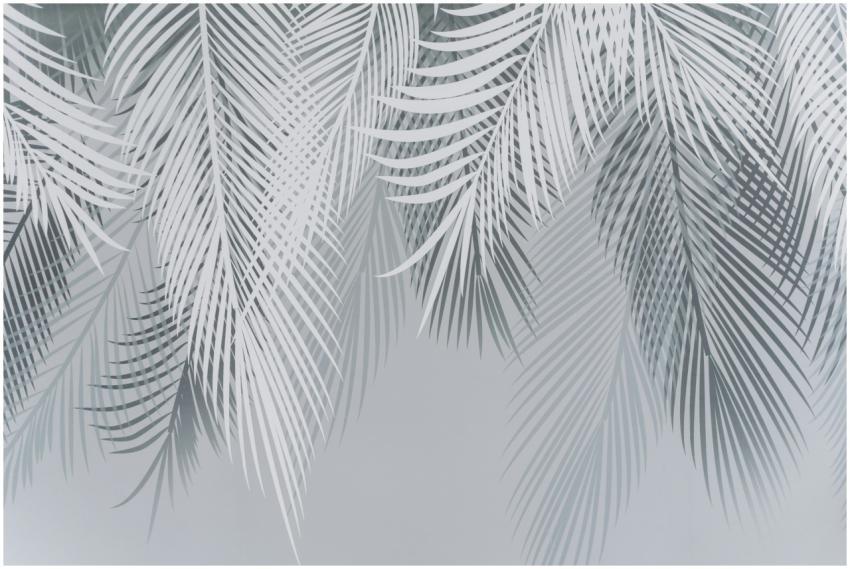 Sleek gray palm leaves create a serene and minimal