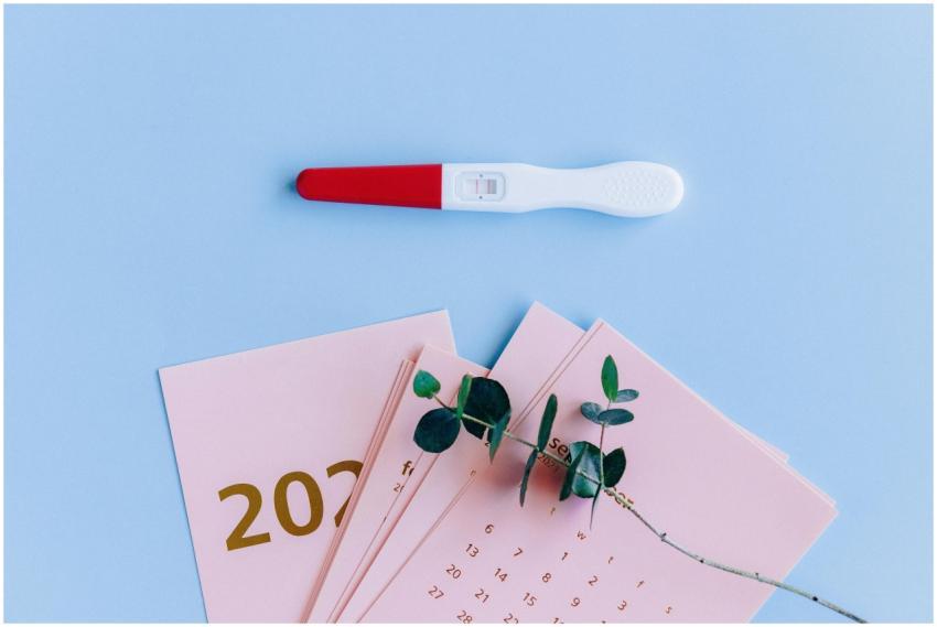 Pregnancy test on pastel flat lay with calendar an