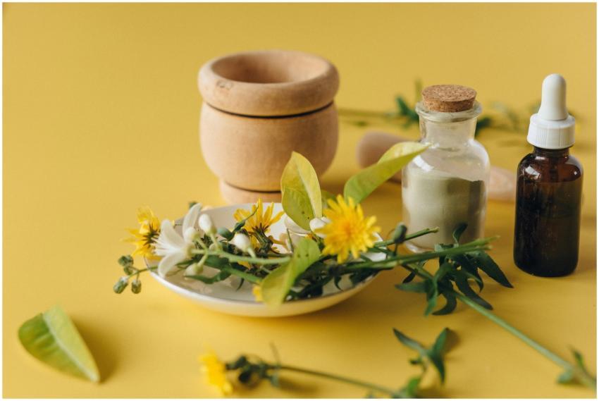 A collection of herbal remedies and natural ingred