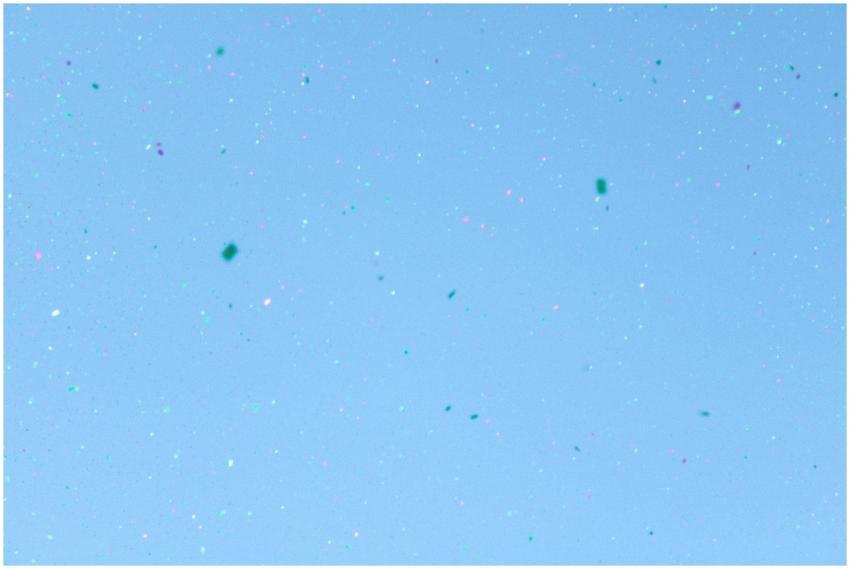 Free stock photo of glitter, lgbt pride, pride par