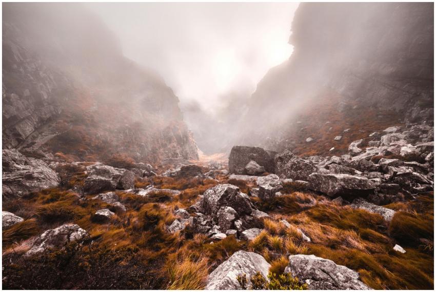 Foggy mountain scenery with rocks and grasses in C
