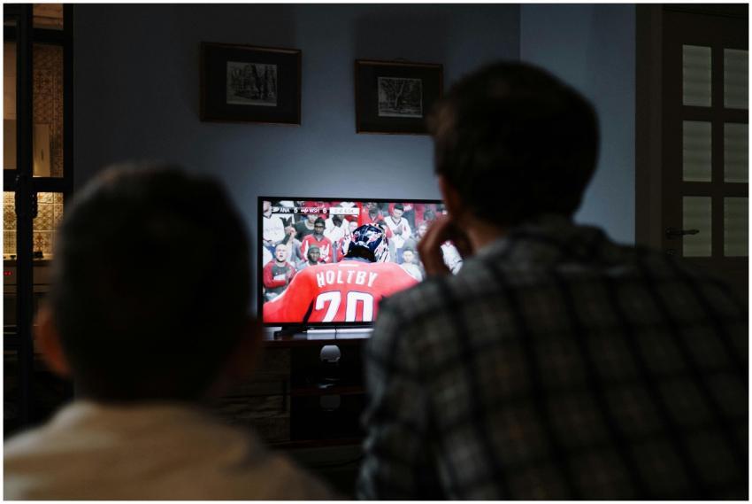 Father and son enjoying a hockey game together on