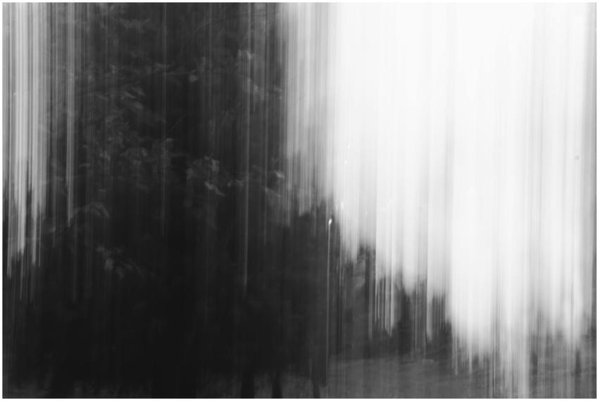 Artistic black and white image with vertical motio