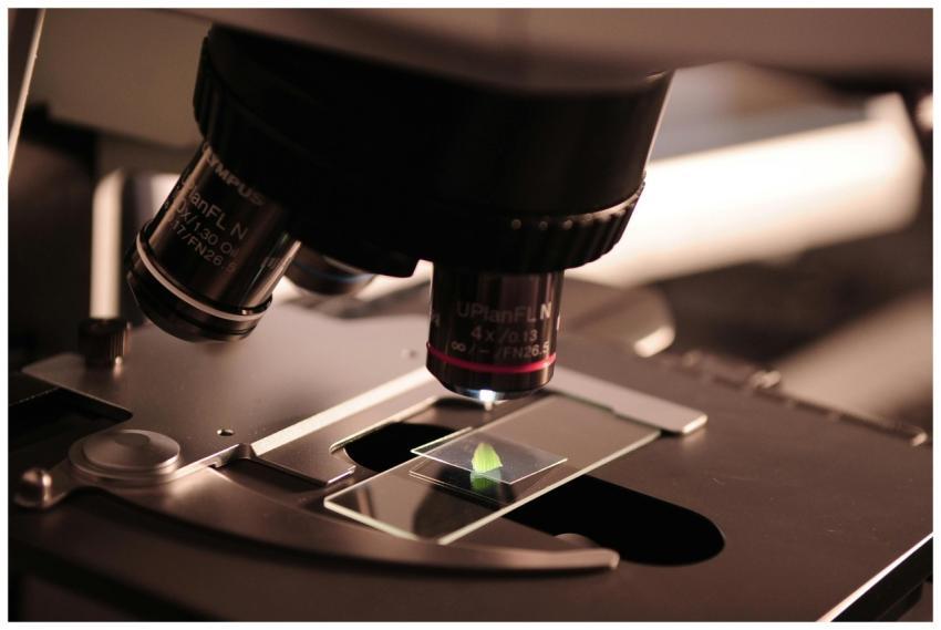 Detailed view of a microscope with a slide in a la