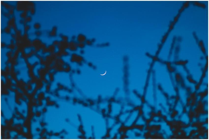 A serene crescent moon in a deep blue evening sky