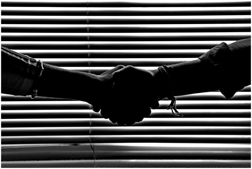 Silhouette of two people shaking hands symbolizing